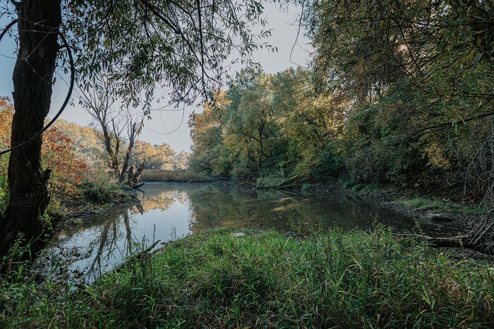 Svetový deň mokradí: Ochranári chystajú revitalizácie na Dunaji a Morave